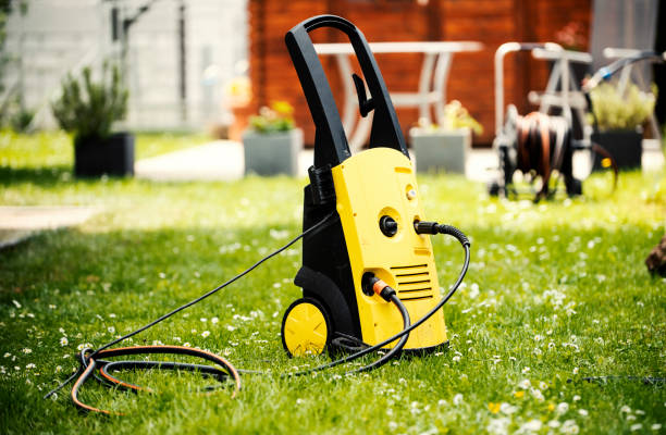 Best Sidewalk and Walkway Cleaning  in Hart, MI